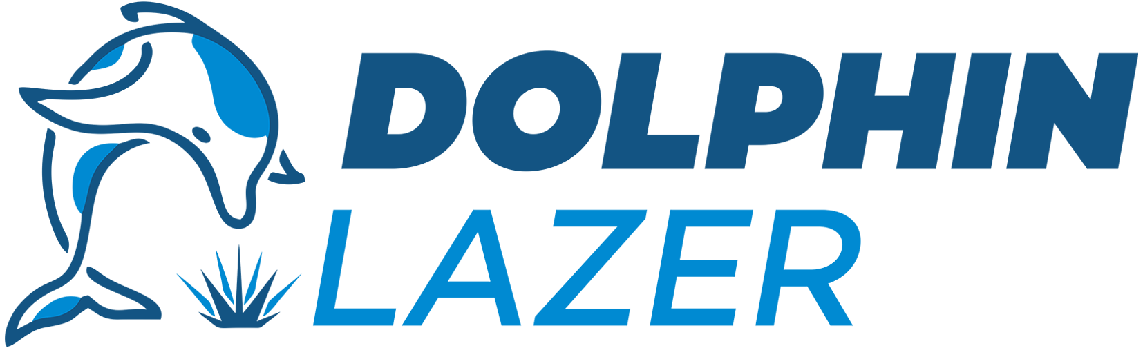 Dolphin Lazer